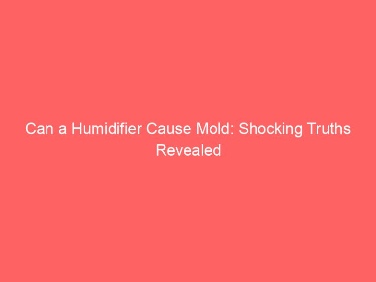Can a Humidifier Cause Mold: Shocking Truths Revealed