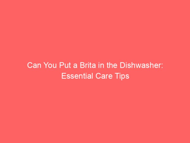 Can You Put a Brita in the Dishwasher: Essential Care Tips