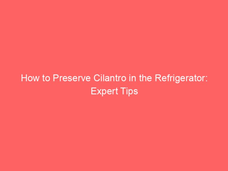 How to Preserve Cilantro in the Refrigerator: Expert Tips
