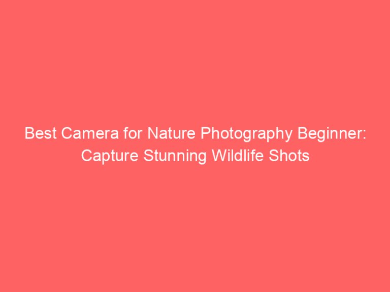 Best Camera for Nature Photography Beginner: Capture Stunning Wildlife Shots
